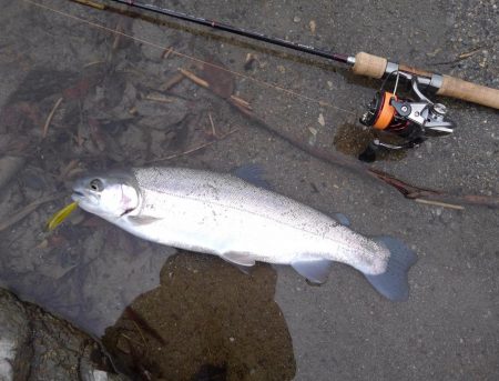 天竜川ルアーフライ専用区